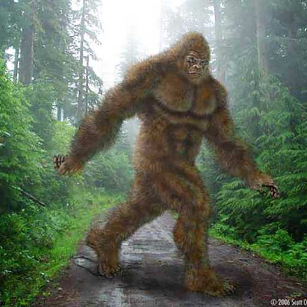 Chuck interviews Sasquatch in early 2020